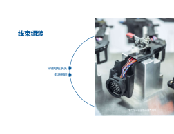 Cable Assembly